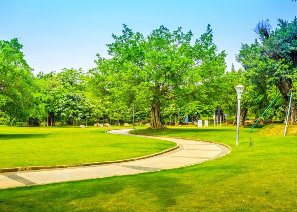 premium plots in Bagepalli